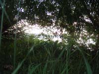 Montanas-Flathead-Lake0899