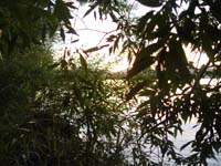 Montanas-Flathead-Lake0901