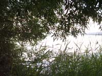 Montanas-Flathead-Lake0907