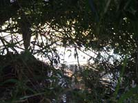 Montanas-Flathead-Lake0910