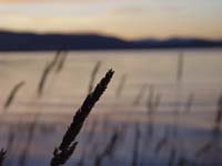 Montanas-Flathead-Lake0911