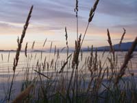 Montanas-Flathead-Lake0914