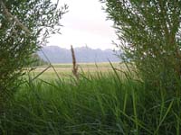 Montanas-Flathead-Lake0916