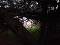 Montanas-Flathead-Lake0923