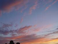 Montanas-Flathead-Lake0932