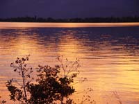 Montanas-Flathead-Lake0957