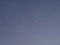 Montanas-Flathead-Lake0980