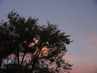 Montanas-Flathead-Lake0981