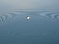 Montanas-Flathead-Lake0998