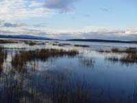 Montanas-Flathead-Lake1013