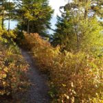 Flathead Lake Trail