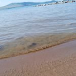 Shore of Flathead Lake