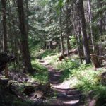 Trail near Flathead Lake