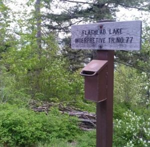Flathead Lake